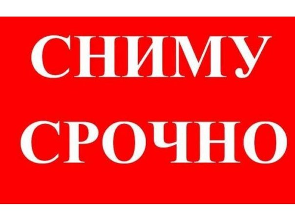 Сниму: квартиру