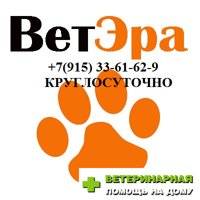 Предложение: Ветеринарная Помощь на дому и в Ветерина