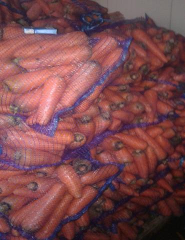 Продам: Оптовые поставки крупной, мытой моркови.