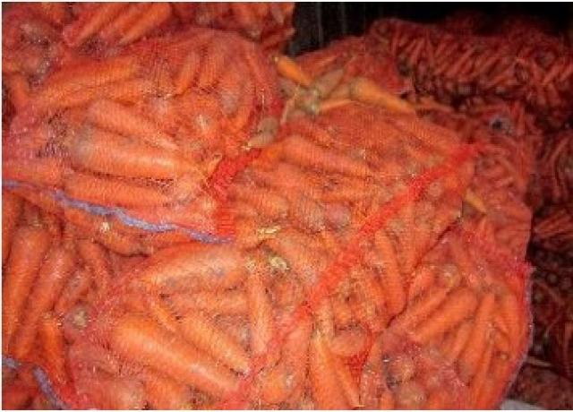 Продам: Морковь Абако и Кардоба оптом от произво