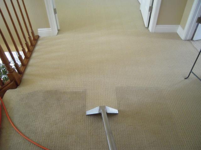 Предложение: Химчистка ковров на дому