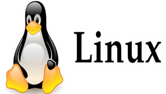 Предложение: Установка Linux, любые версии.