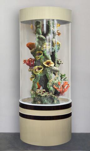 Продам: Уникальный красивый аквариум Marvelous