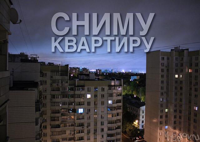 Сниму: квартиру