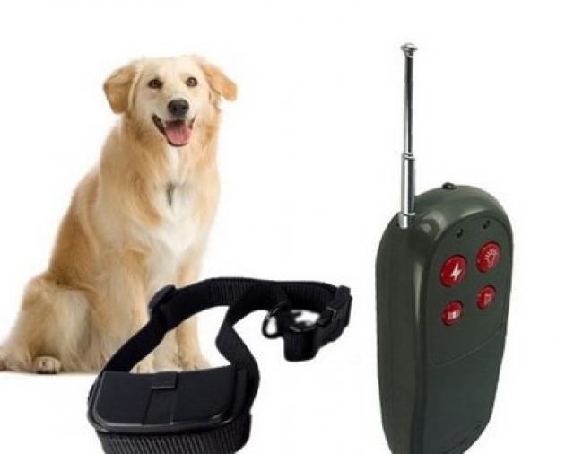 Продам: Электронный ошейник «Бюджет» для собаки 