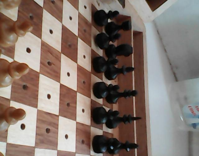 Продам: шахматы сувенирные