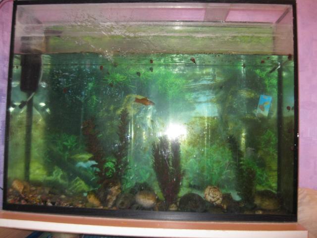 Продам: аквариум для рыб