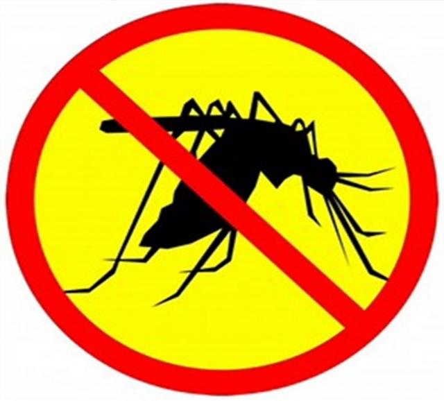 Предложение: Уничтожение комаров,мошек,тли