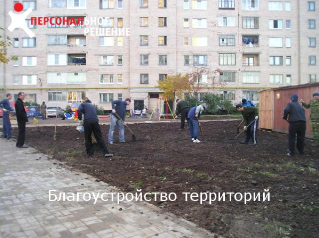 Предложение: Благоустройство