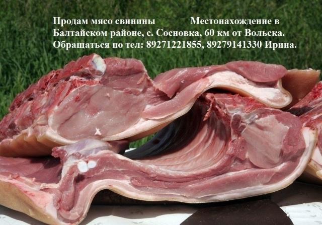 Продам: Продам мясо свинины