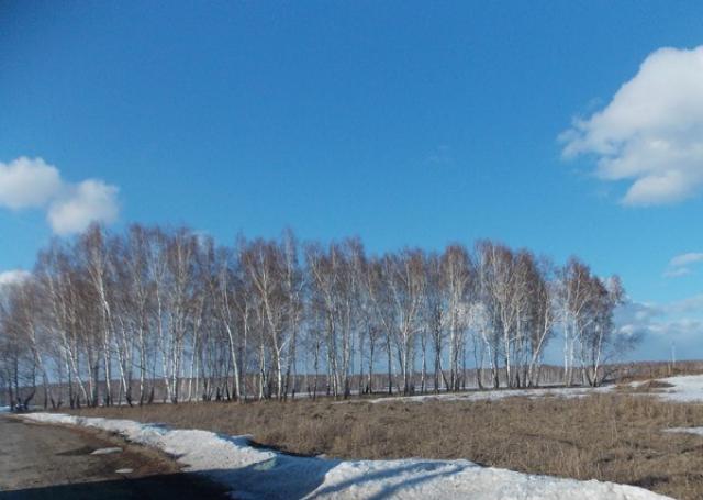 Продам: земельный участок