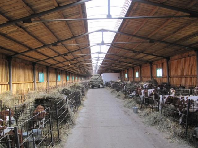 Продам: Коровник для животноводства из кирпича