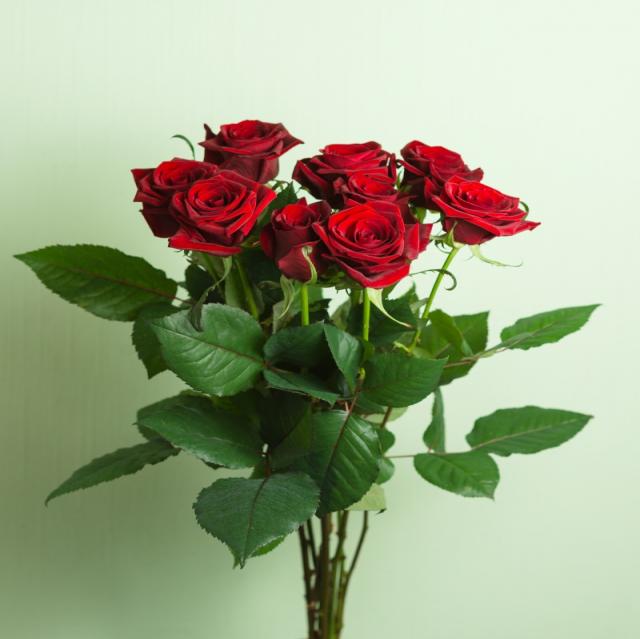 Продам: Цветы роза - опт и розница