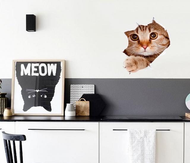 Продам: Наклейка на стену виниловая Кошка