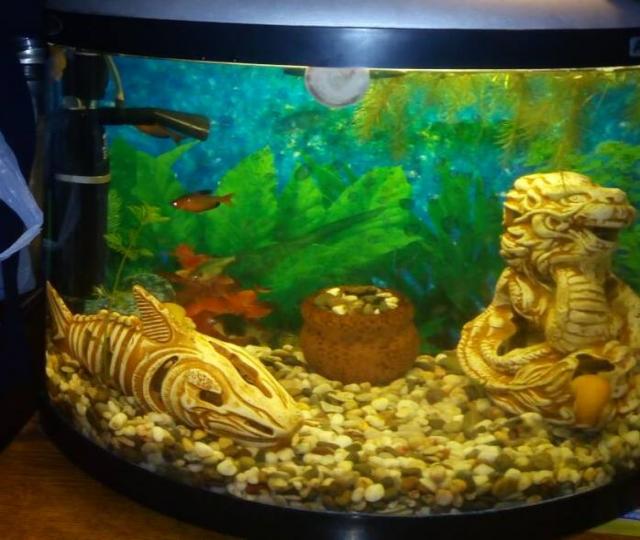 Продам: аквариум для рыбок