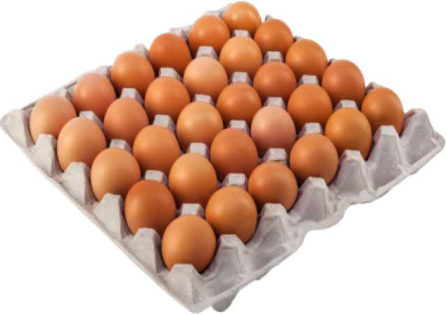 Продам: Домашнее куриное яйцо