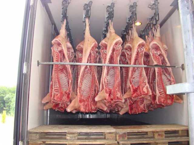 Продам: Мясо свинины охлажденное/замороженное