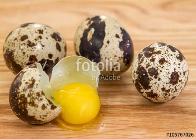 Продам: Домашнее перепелиное яйцо.(излишки)