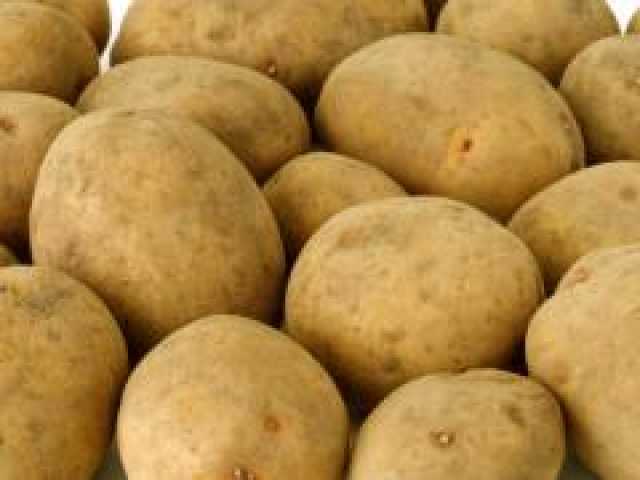 Продам: Семенной картофель из Беларуси
