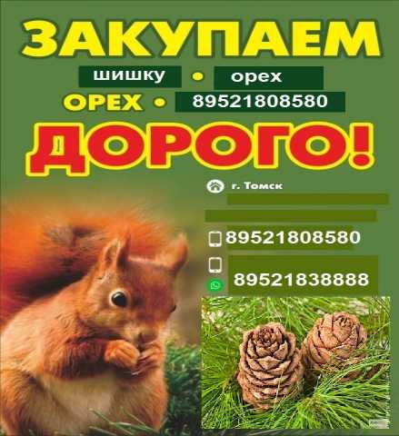 Куплю: куплю шишку кедровую орех Томск 