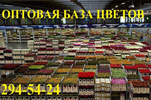 Продам: Оптовая продажа цветов