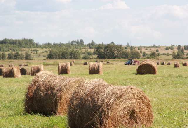 Продам: Земельный участок