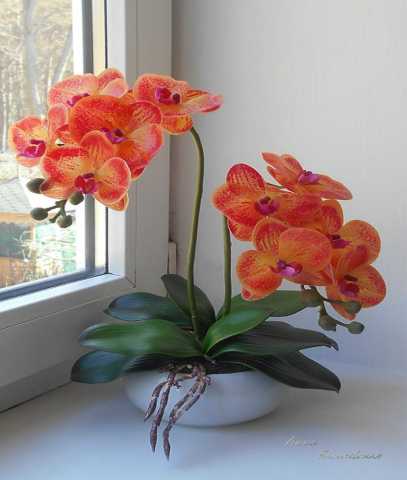 Продам: Сенсорные орхидеи.