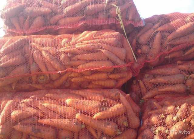 Продам: Морковь продовольственная оптом от произ