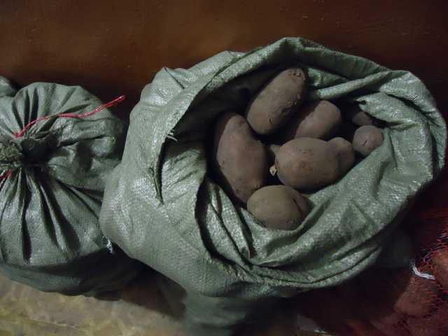 Продам: деревенский картофель ведро-185р