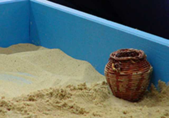 Предложение: Международная программа Sandplay 