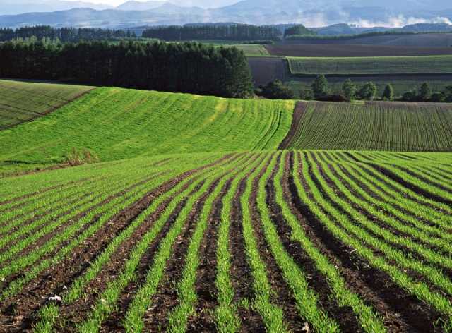 Продам: Продажа сельскохозяйственных земель в Че