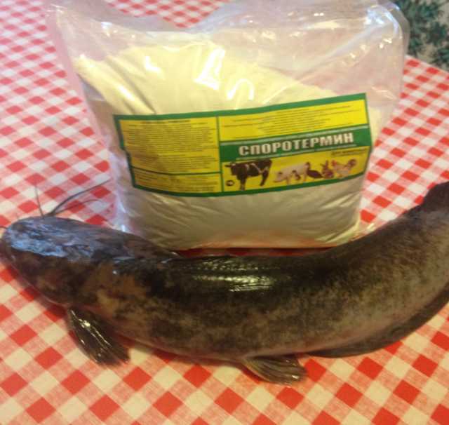 Продам: Пробиотик для роста товарной  рыбы