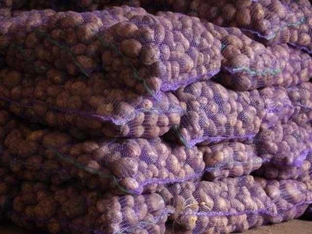 Продам: Картофель оптом со склада в Вологде  