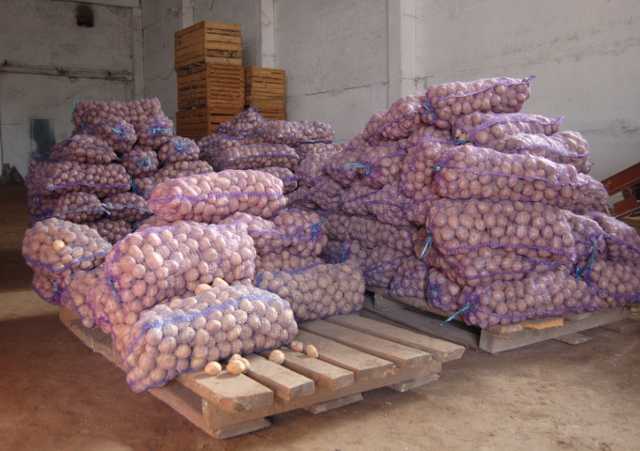Продам: Картофель со склада в Вологде