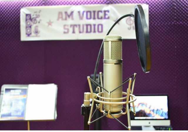 Предложение: AMVOICE STUDIO научим вокалу и игре на и