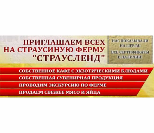 Предложение: Страусленд  - страусиная ферма приглашае