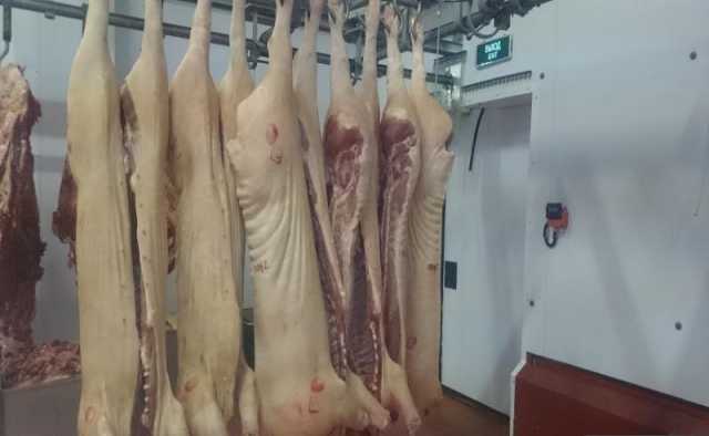Продам: Свинина оптом 1 категории в полутушах