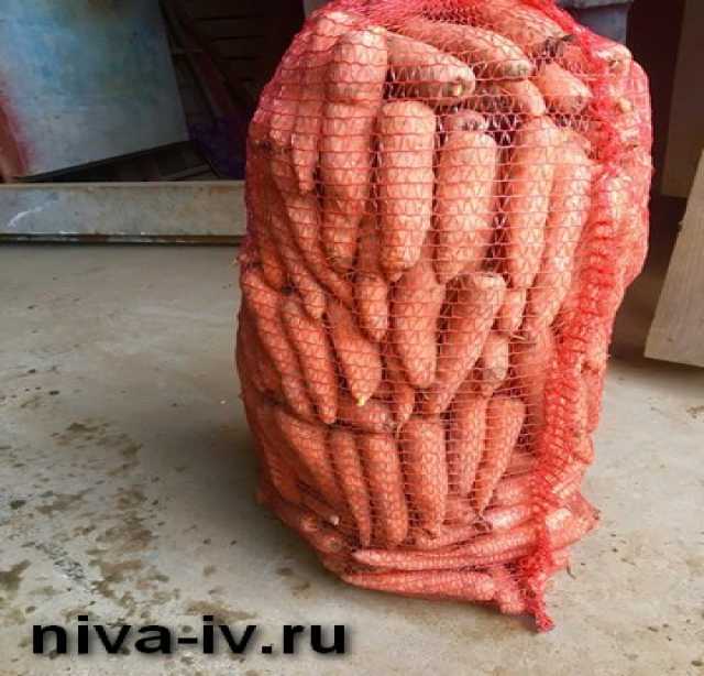Продам: Морковь от производителя, оптом и в розн
