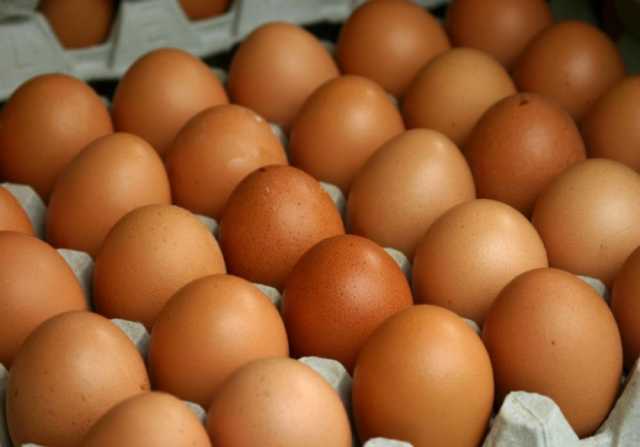 Продам: домашние куриные яйца