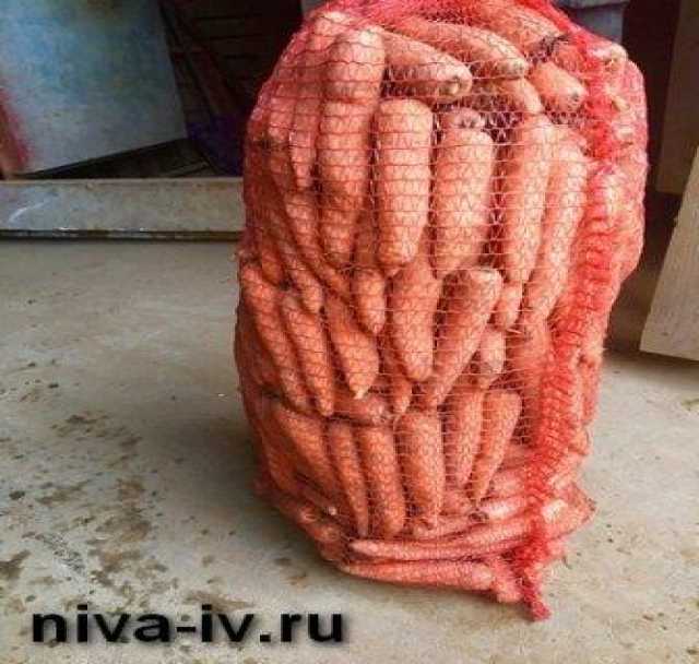 Продам: Предлагаем морковь от производителя