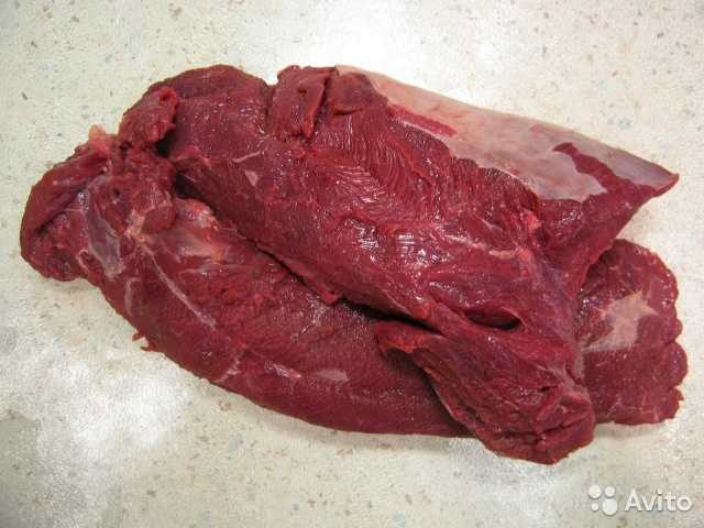 Продам: Мясо лося