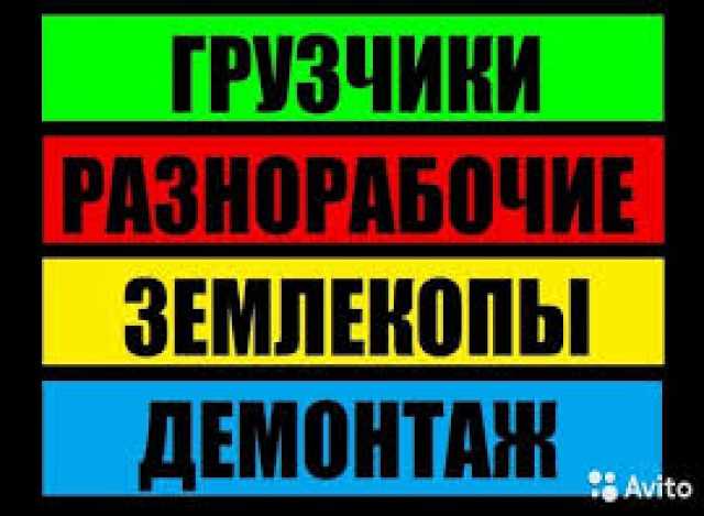 Предложение: Подсобники, разнорабочие, грузчики, земл