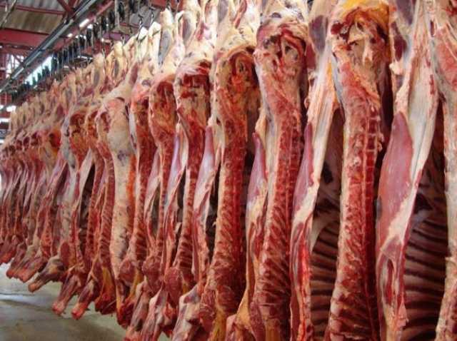 Продам: Свинина в полутушах ОПТОМ от производите