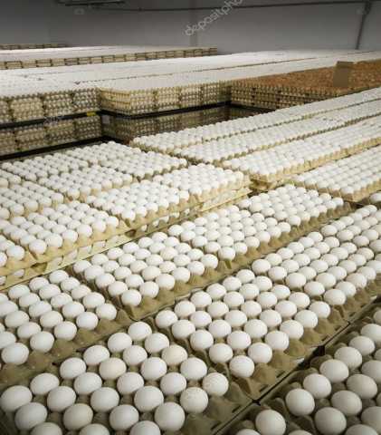 Продам: Яйцо куриное С0, С1, С2 оптом по цене пр