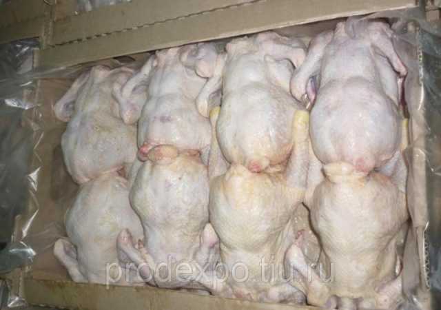 Продам: Мясо цыпленка бройлера оптом по цене про