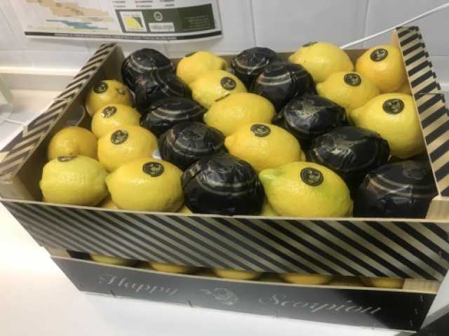 Продам: лимон