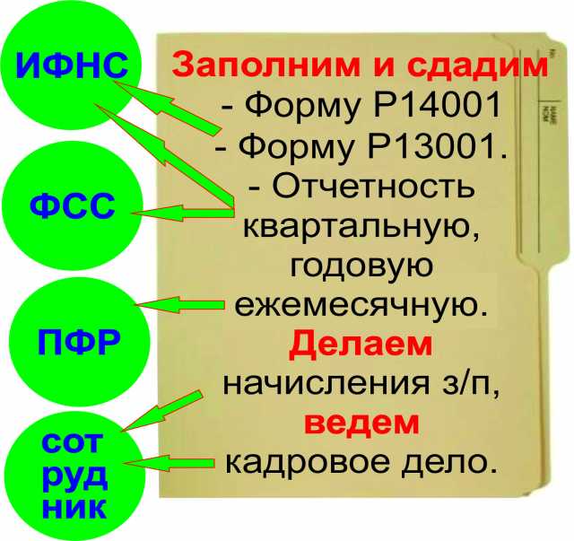 Предложение: ведение бух. отчетности малого и среднег