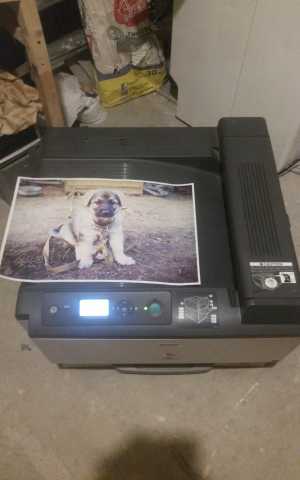 Продам: принтер