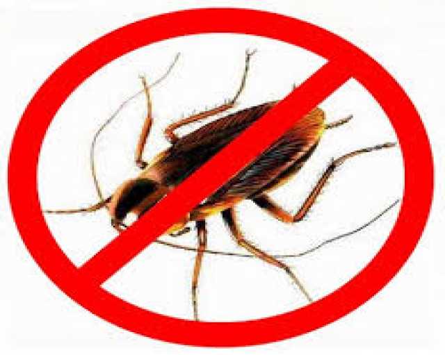 Предложение: Уничтожение насекомых всех видов