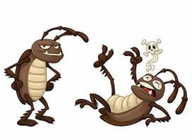 Предложение: уничтожение тараканов в Самаре и области